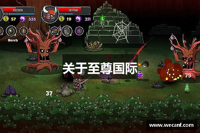 关于至尊国际